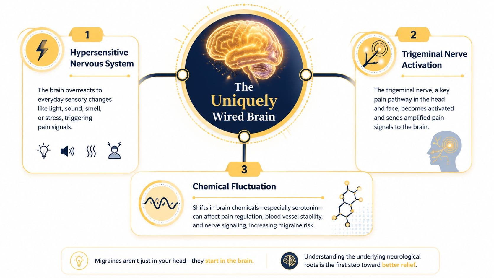 An infographic showing the three biological causes of migraine headaches: hypersensitive nervous system, trigeminal nerve activation, and chemical fluctuations.