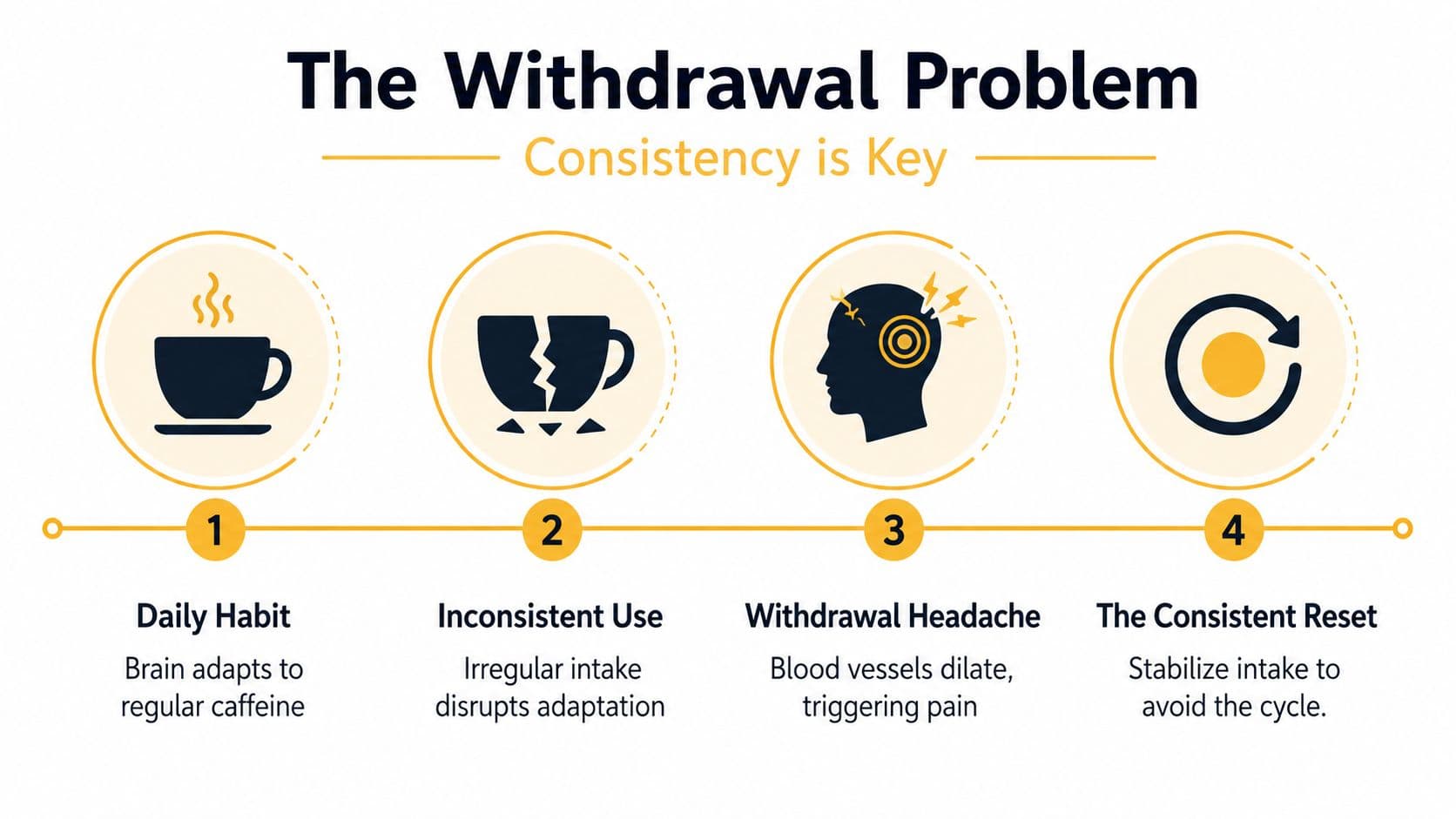 An infographic titled The Withdrawal Problem showing four steps explaining how inconsistent caffeine consumption causes withdrawal headaches.
