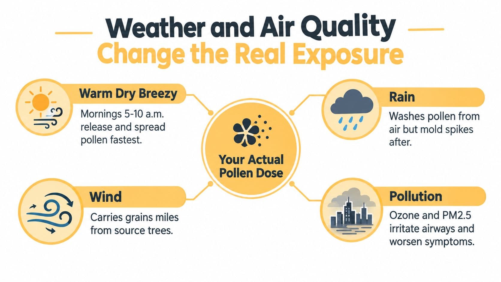 An infographic showing how weather conditions like wind, rain, and pollution affect your actual pollen exposure.