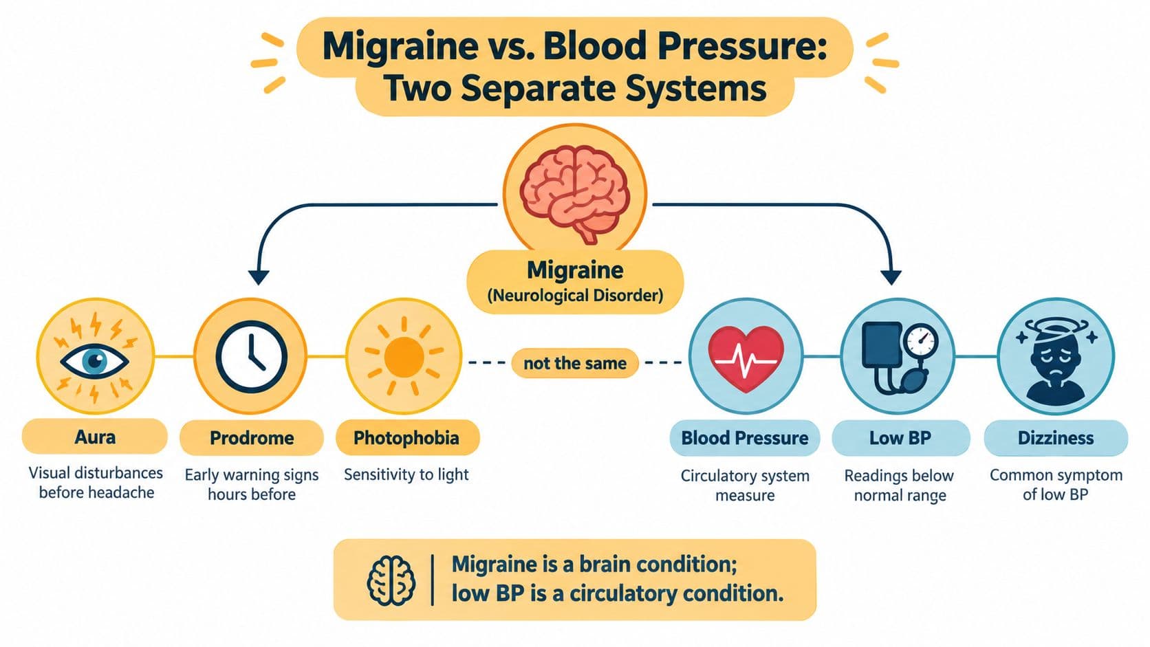 A diagram comparing migraines and blood pressure, illustrating they are distinct neurological and circulatory conditions.